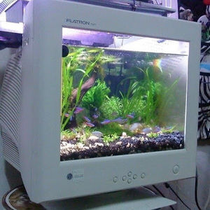 Meet your Posher, Lucia